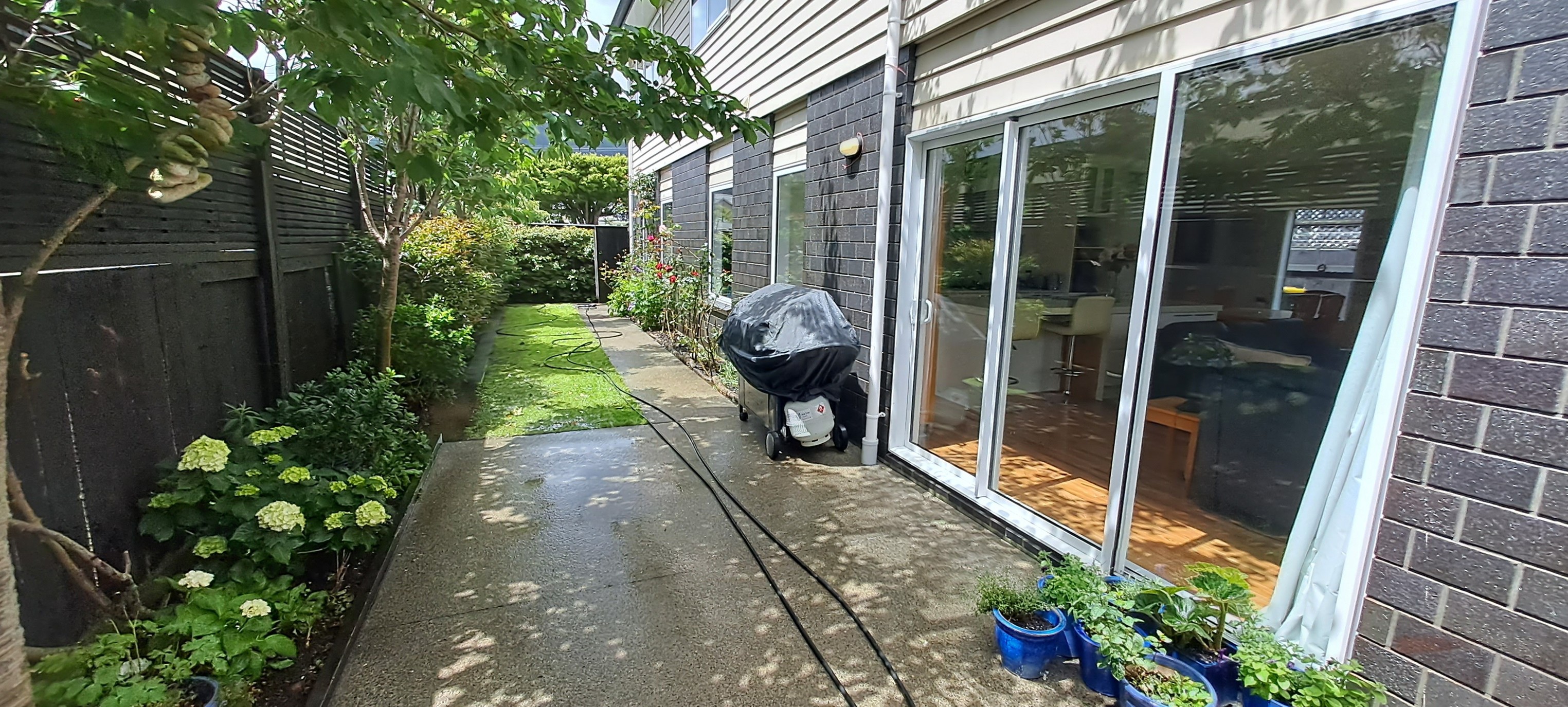 Clean pathway and garden